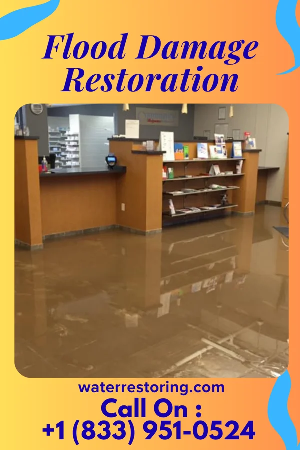 Flood Damage Restoration in Gapland, MD