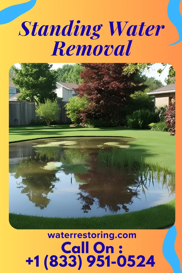 Standing Water Removal in Gapland, MD